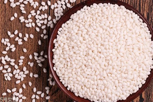 糯米和江米是一种米吗 东北圆糯米才叫江米