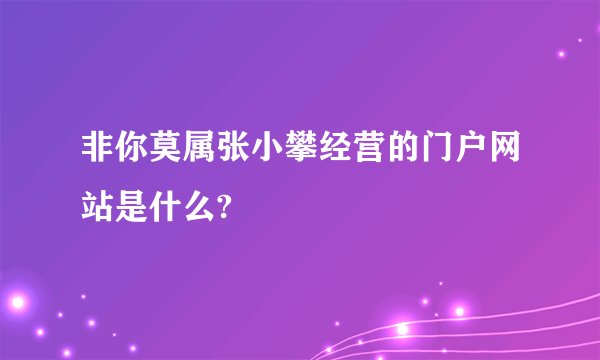 非你莫属张小攀经营的门户网站是什么?