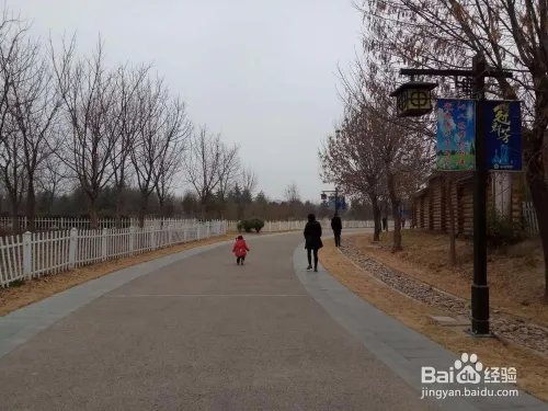 游玩菏泽牡丹园攻略（近期）