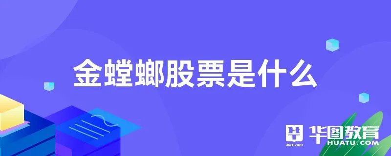 金螳螂股票是什么