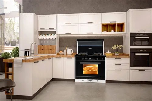 全国集成灶十大排名是什么