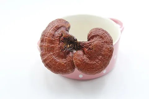 灵芝粉的功效与作用