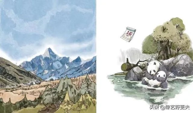 野生棕色大熊猫再现秦岭“活了800万岁的大熊猫”有哪些秘密？