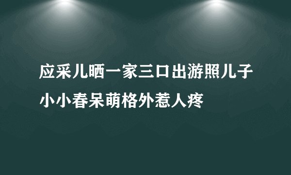 应采儿晒一家三口出游照儿子小小春呆萌格外惹人疼