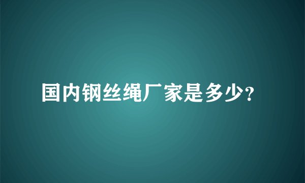 国内钢丝绳厂家是多少？