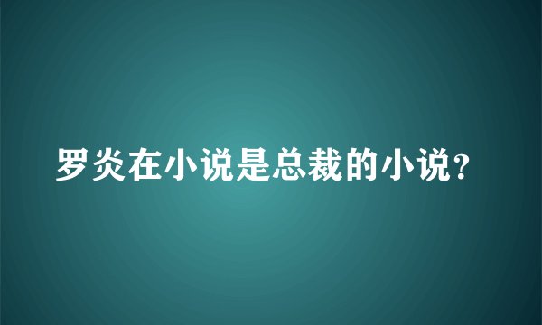 罗炎在小说是总裁的小说？