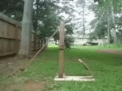 深田老师又放福利了？动图 胸肌大摇起来肯定有劲！