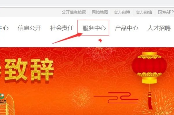 中国人寿保险官网保单查询