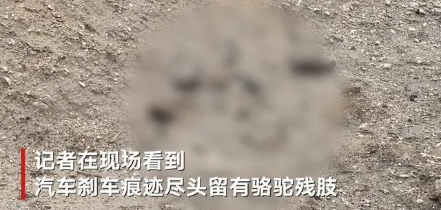 于月仙出事地点