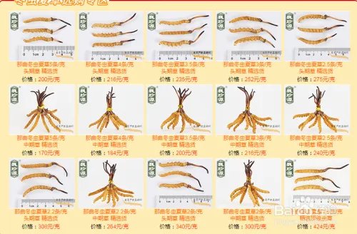 冬虫夏草价格表