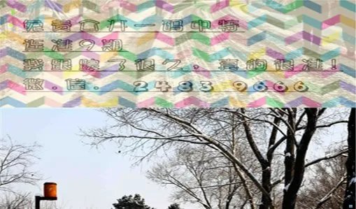 有人能传受点平肖公试吗