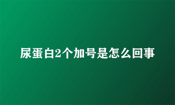 尿蛋白2个加号是怎么回事