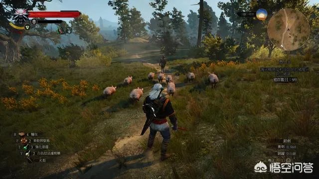 你最喜欢的一款大型角色扮演游戏是什么？