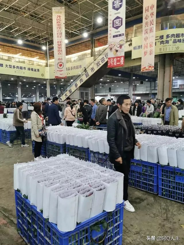 花卉批发一般去哪里呢？