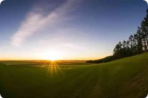 唐高宗李治得的什么病