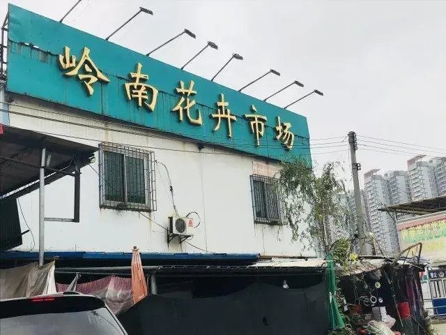 花卉批发一般去哪里呢？