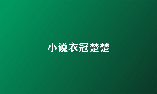 小说衣冠楚楚