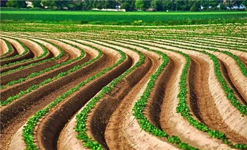 土地面积怎么算