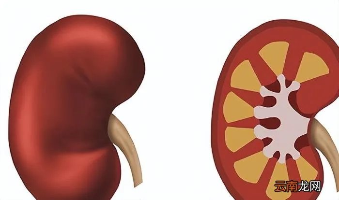 干咳无痰吃什么药 干咳无痰吃什么药效果最好