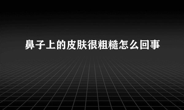 鼻子上的皮肤很粗糙怎么回事