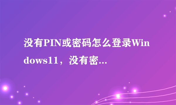 没有PIN或密码怎么登录Windows11，没有密码如何登录win11系统