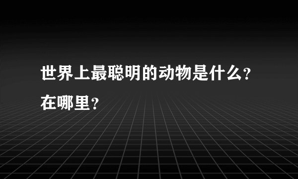 世界上最聪明的动物是什么？在哪里？