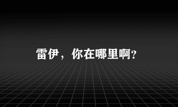 雷伊，你在哪里啊？