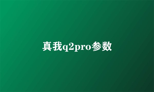 真我q2pro参数