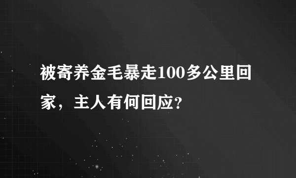被寄养金毛暴走100多公里回家，主人有何回应？