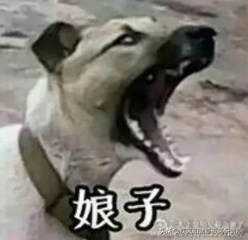 曼城被狼队大逆转，争冠更没戏，瓜帅提前换下德布劳内是输球主要原因吗？