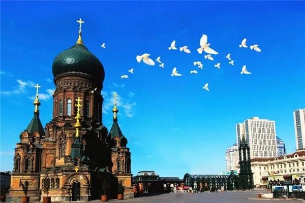 哈尔滨的十大怪都是什么