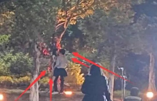 谭松韵宋威龙吻戏被围观 电视剧《以家人之名》好看吗