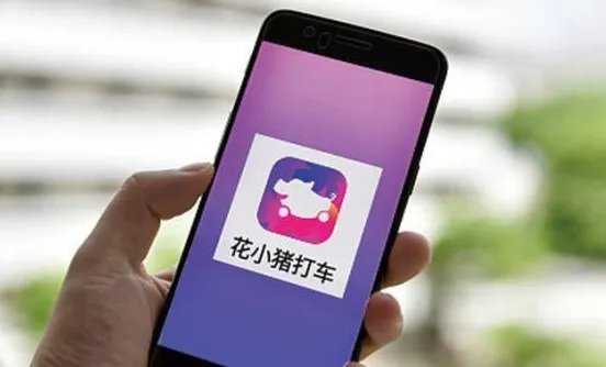 滴滴花小猪被罚