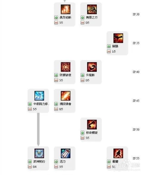 艾尔之光澄怎么加点