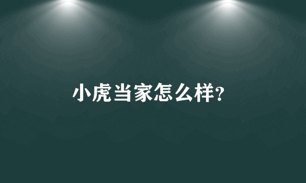 小虎当家怎么样？