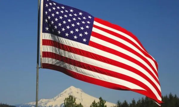 如何查询2020美国流感死亡人数？