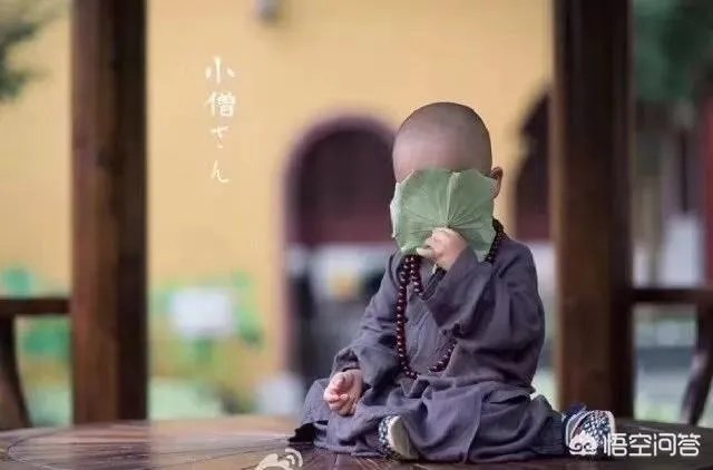 你的职场成长历程是怎样的？