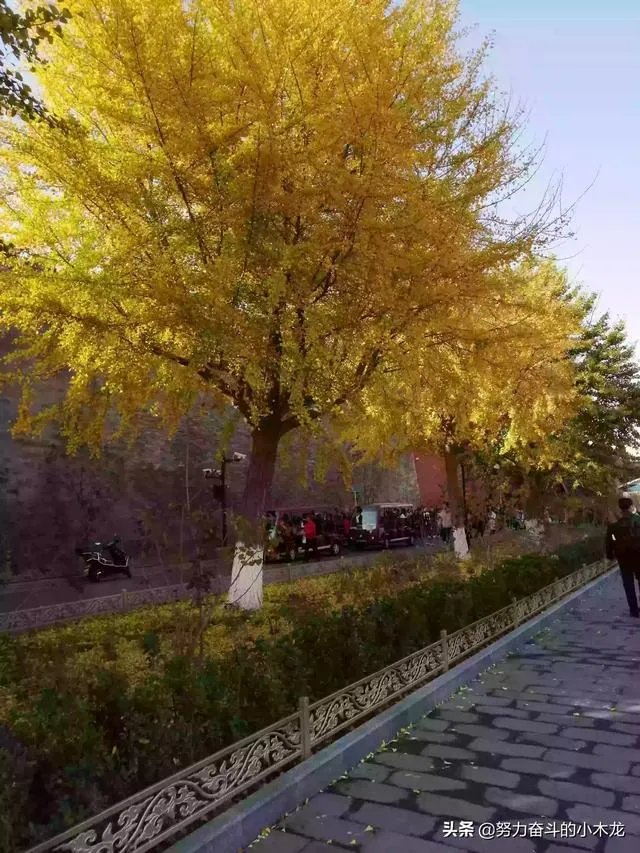 一个普通的女生如何才能谈一场恋爱？