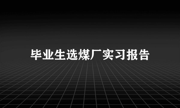 毕业生选煤厂实习报告