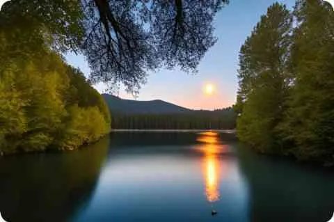 月份五行属性查询表