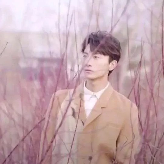 李兰迪说牛骏峰是很老的年轻人，李兰迪为何这么说呢？