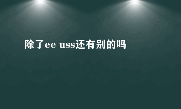 除了ee uss还有别的吗