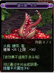 DNF腰带可以附魔什么宝珠