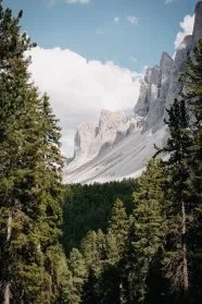 网站你懂我意思正能量感谢我，但演示即将推出