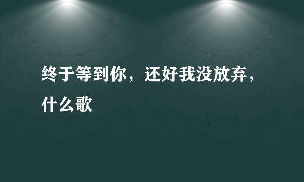 终于等到你，还好我没放弃，什么歌