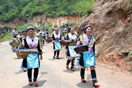 贵州福泉插鱼节图片分享