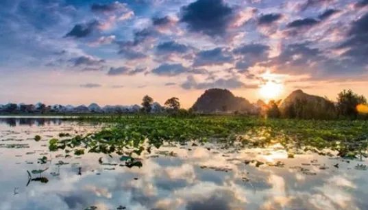 为什么湿地被称为“地球之肾？