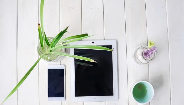 移动大厅查通话记录需要什么 移动大厅怎么查通话记录