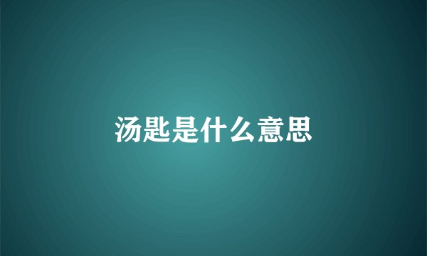 汤匙是什么意思