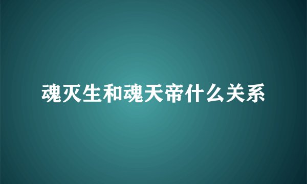 魂灭生和魂天帝什么关系